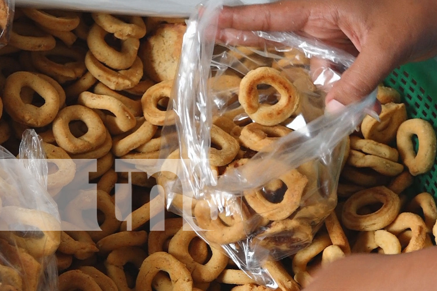 Foto: Madriz se Prepara para Celebrar con Alegría y Tradición el Festival de las Rosquillas/TN9