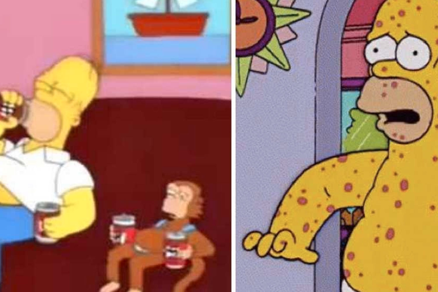 Foto: Imagen viral sugiere que Los Simpson predijeron la viruela del mono / Cortesía