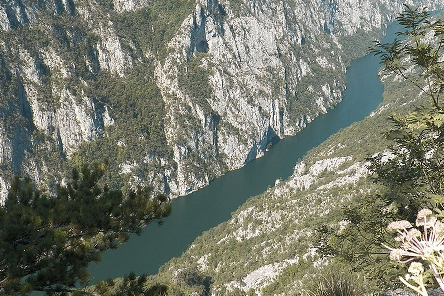 Foto: Naufragio de embarcación en el río Drina/Cortesía