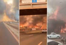 Foto: 30 ciudades de Brasil están en alerta máxima /Cortesía