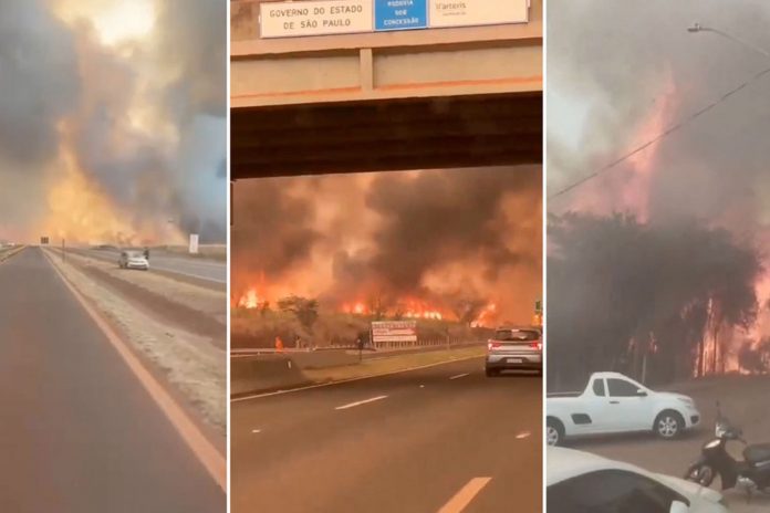 Foto: 30 ciudades de Brasil están en alerta máxima /Cortesía