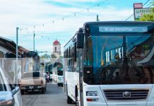 Foto: Masaya moderniza su transporte público con la llegada de 13 nuevos buses/TN8