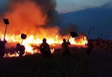 Foto: Bolivia y Brasil unen fuerzas /cortesía