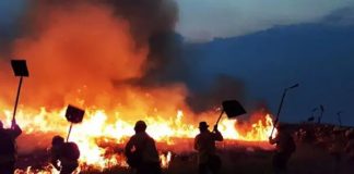 Foto: Bolivia y Brasil unen fuerzas /cortesía