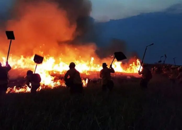 Foto: Bolivia y Brasil unen fuerzas /cortesía