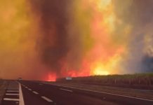 Foto: Lula da Silva denuncia incendios en Brasil /cortesía