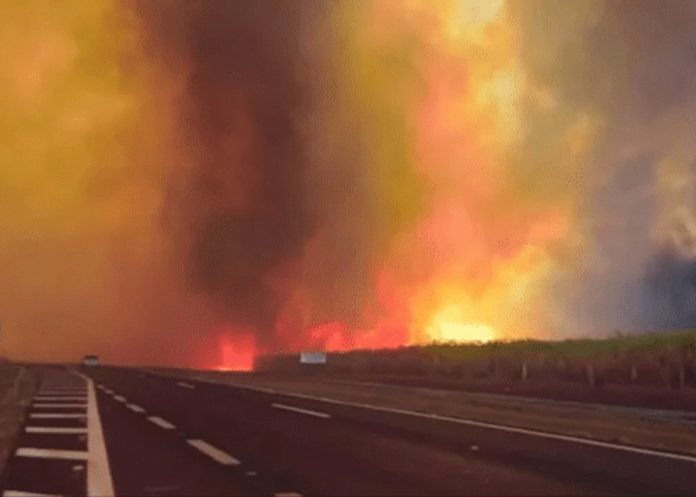 Foto: Lula da Silva denuncia incendios en Brasil /cortesía