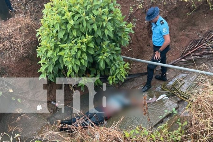 Foto: hallazgo de un cuerpo sin vida en el interior de un cauce/TN8