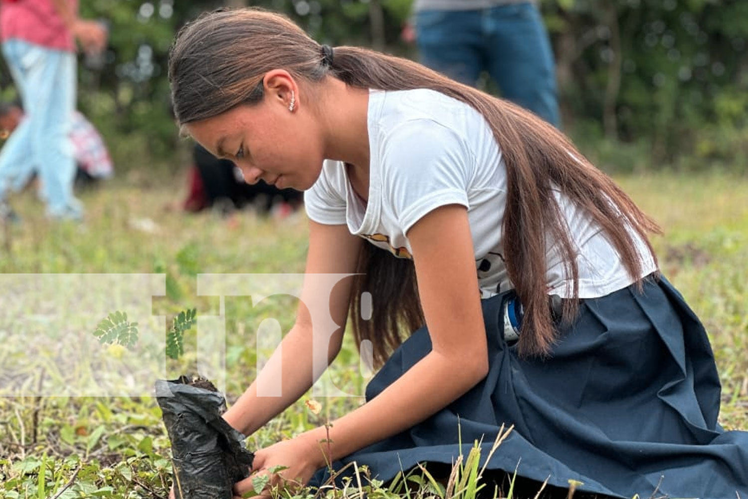 Foto: INTA organiza gran evento de reforestación en Palacagüina, Madriz/TN8