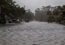 Foto: Huracán Debby deja cinco muertos a su paso /Cortesía