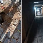 Foto: Encuentran túnel de unos 220 metros de largo/Cortesía