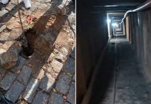 Foto: Encuentran túnel de unos 220 metros de largo/Cortesía