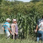 Foto: Lluvias serán óptimas para diferentes cultivos en la postrera en Nandaime / TN8