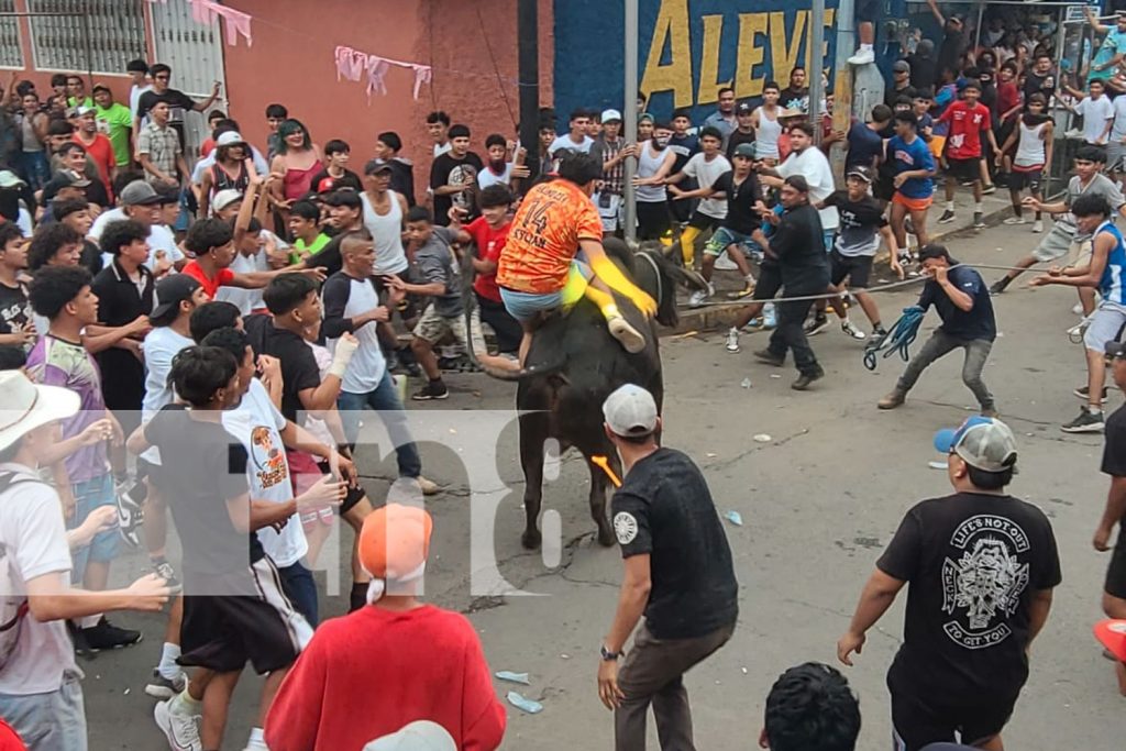 Foto: ¡Ahí viene el toro muco! Tradicional corrida de toros en el barrio San José Oriental/TN8