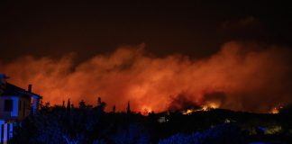 Foto: Grecia ordena nuevas evacuaciones por incendios incontrolables