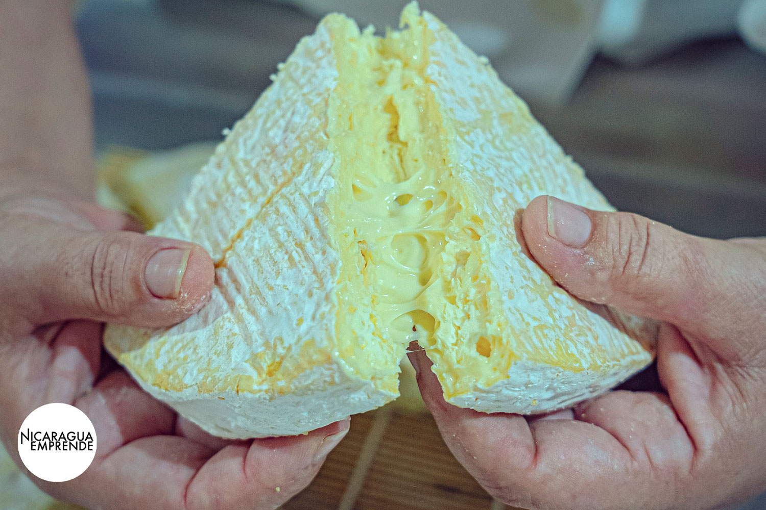 Foto: Queso Francés a Nicaragua / Nicaragua Emprende