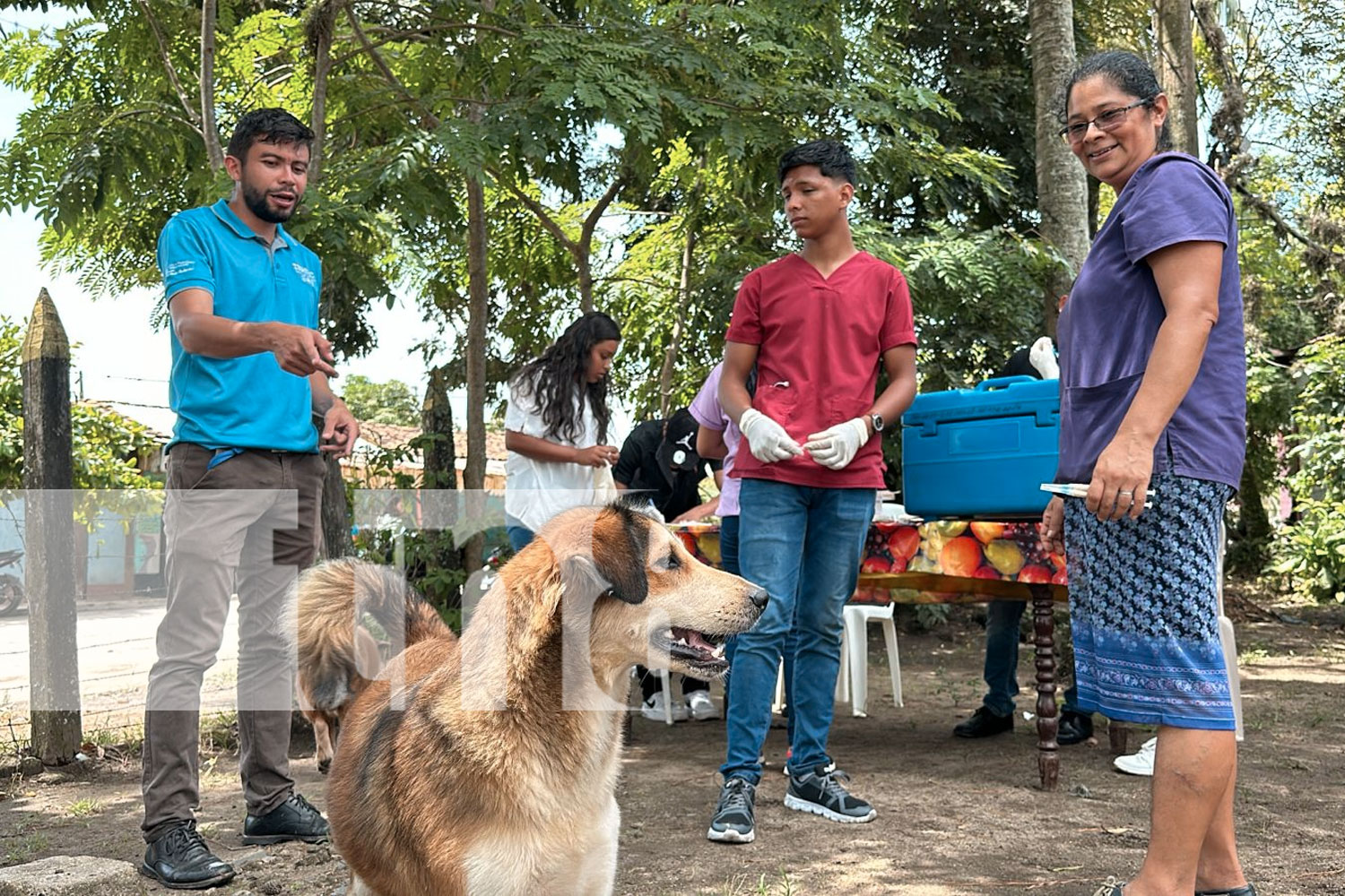 Foto: Impulsan campaña de vacunación contra la rabia en Jalapa/TN8