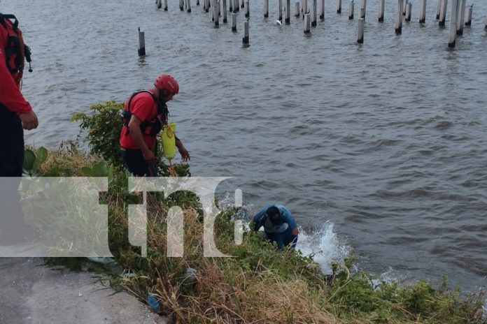 Foto: Desesperado tras una ruptura, hombre intenta suicidarse en el Lago de Managua/TN8