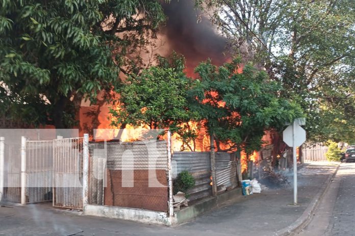 Foto: incendio consumiera su casa en el barrio Monseñor Lezcano, Managua/TN8