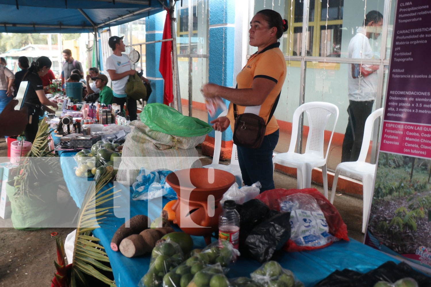 Foto: Siuna brilla con el Festival "Mi Municipio Emprende": un impulso a los emprendedores/TN8