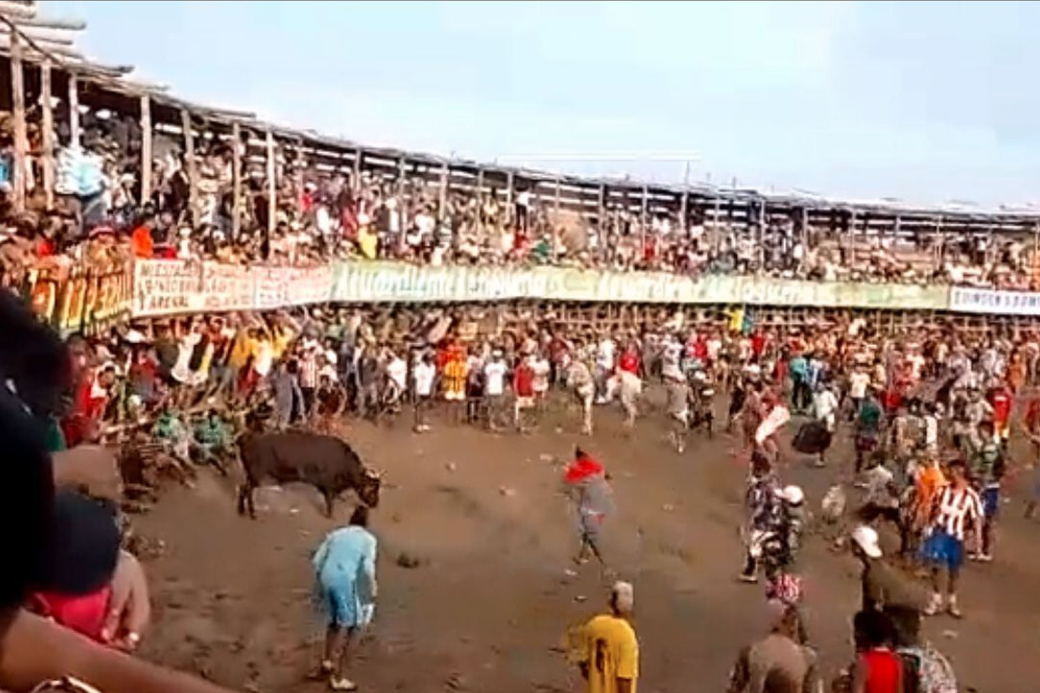 Foto: En Colombia, un toro cornea mortalmente a un menor/Cortesía