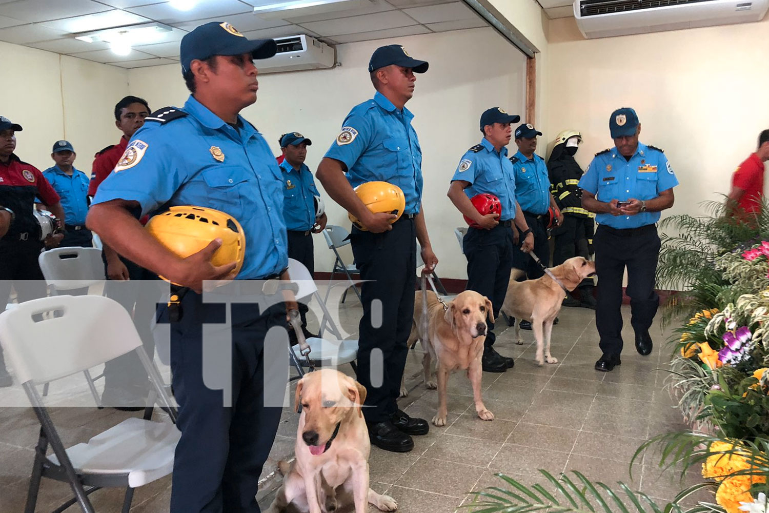 Foto: "Rescate de Personas con Caninos Método Arcón" /TN8