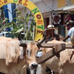 Foto: Tradición y Sabor Norteño en el Festival de las Rosquillas /TN8