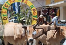 Foto: Tradición y Sabor Norteño en el Festival de las Rosquillas /TN8