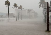 Foto: El huracán Debby toca tierra en Florida El huracán Debby toca tierra en Florida /Cortesía