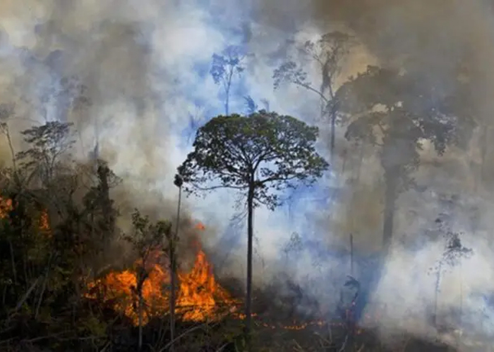 Foto: Lula da Silva denuncia incendios en Brasil /cortesía 