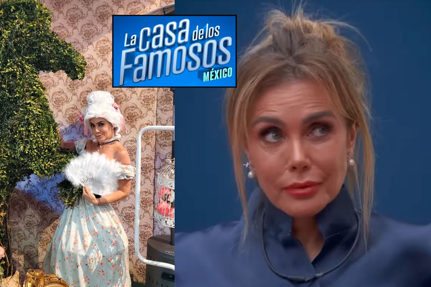 Foto: Sabine Moussier eliminada de "La Casa de los Famosos" /Cortesía