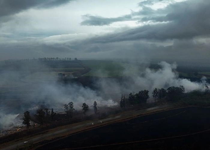 Foto: Cesan los incendios en Brasil /cortesía