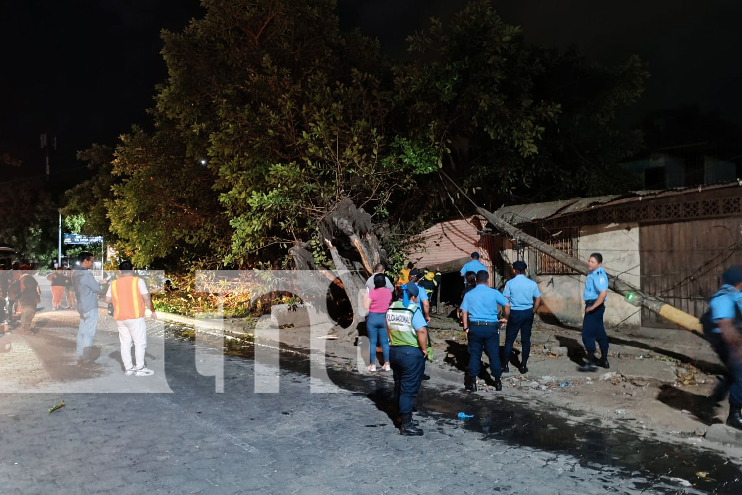 Foto: Bomberos rescatan a joven en silla de ruedas tras caída de árbol en Managua/TN8