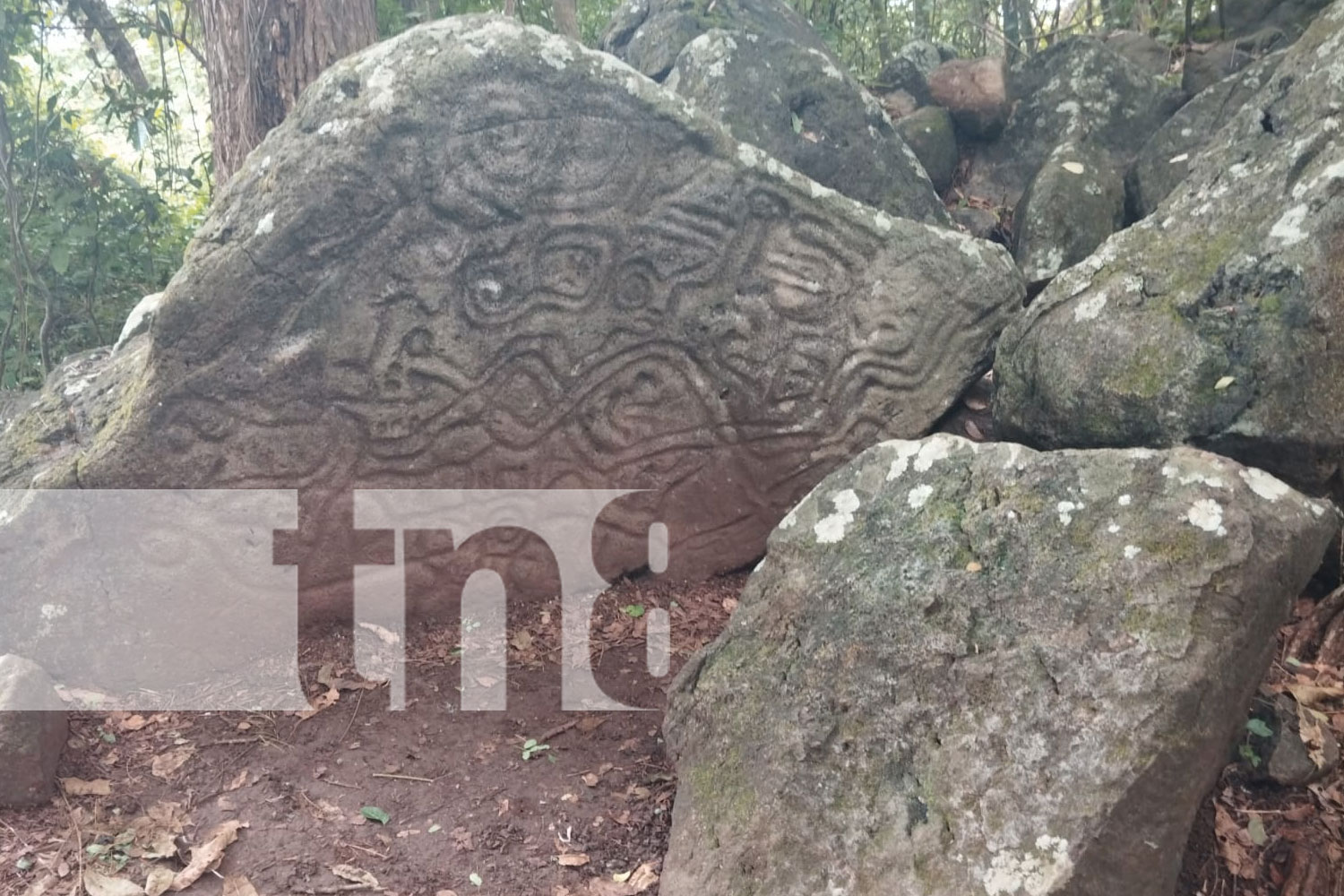 Foto: Descubre la historia precolombina de Ometepe en la Finca Magdalena/TN8