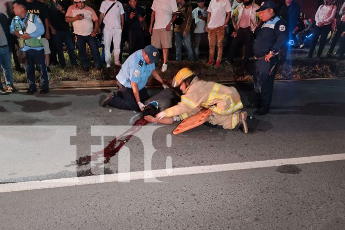 Foto: Motociclista en estado crítico tras impactar contra bulevar en Carretera a León/TN8