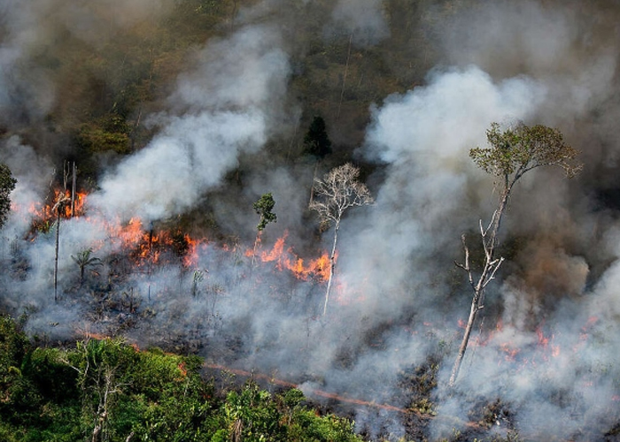 Foto: Crisis ambiental en la Amazonía /cortesía 