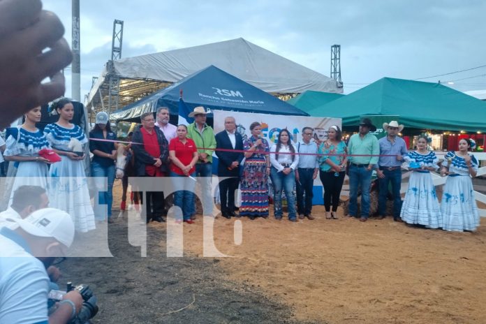 Foto: Inicia la Feria Ganadera 2024 en Managua con más de 400 ejemplares/TN8