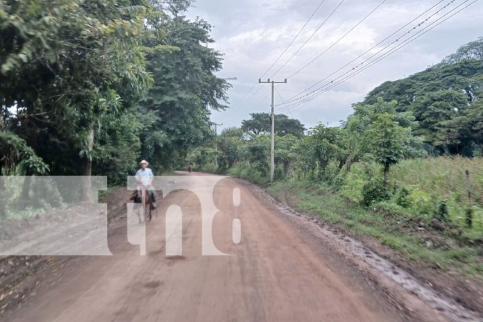 Foto: Familias de Muy Muy, Matagalpa, celebran nueva 'Carretera Productiva' de 12 Km/TN8