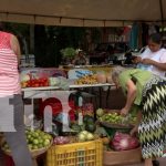 Foto: La feria del Mefcca celebra la identidad y la cultura campesina de Managua/ TN8