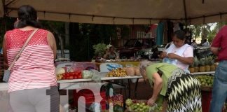 Foto: La feria del Mefcca celebra la identidad y la cultura campesina de Managua/ TN8