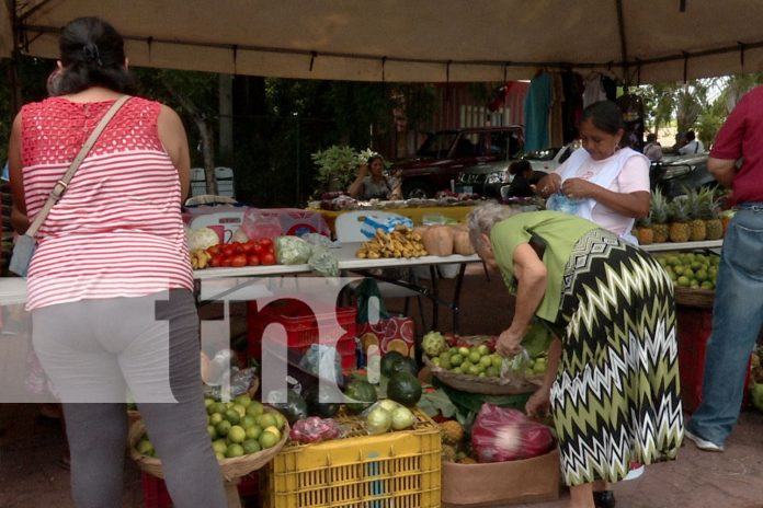 Foto: La feria del Mefcca celebra la identidad y la cultura campesina de Managua/ TN8