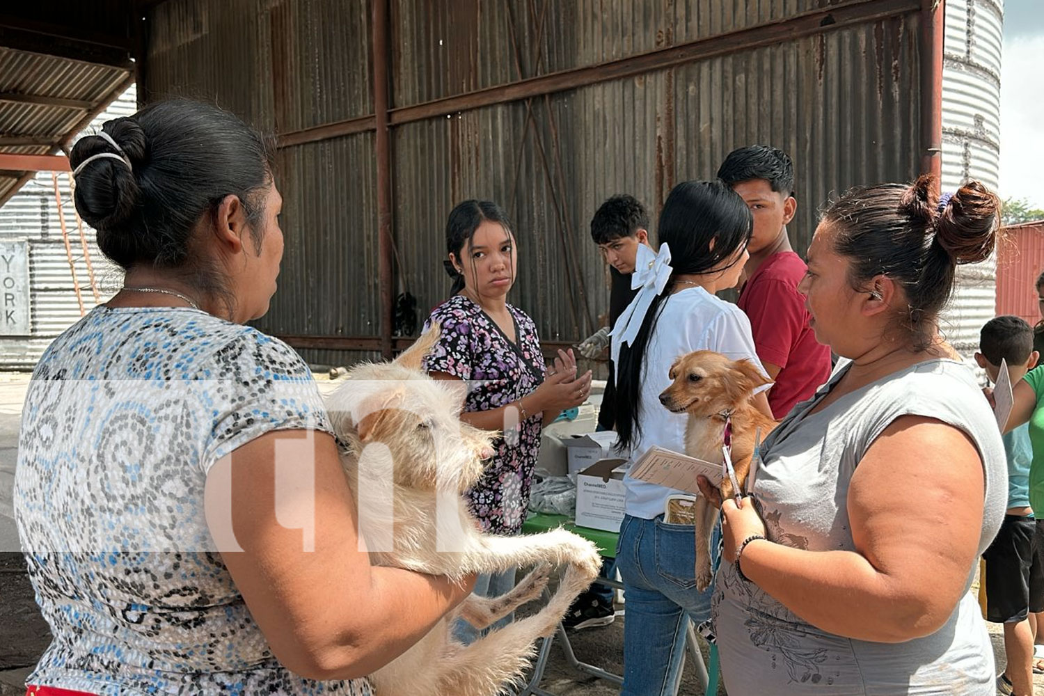 Foto: Impulsan campaña de vacunación contra la rabia en Jalapa/TN8