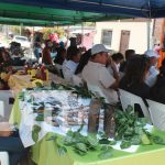 Foto: Matagalpa impulsa el turismo con actividades festivas en varios municipios/TN8