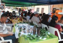 Foto: Matagalpa impulsa el turismo con actividades festivas en varios municipios/TN8