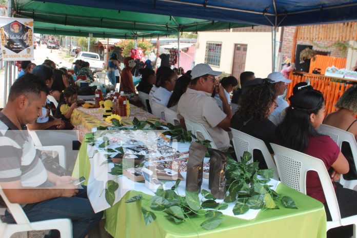 Foto: Matagalpa impulsa el turismo con actividades festivas en varios municipios/TN8