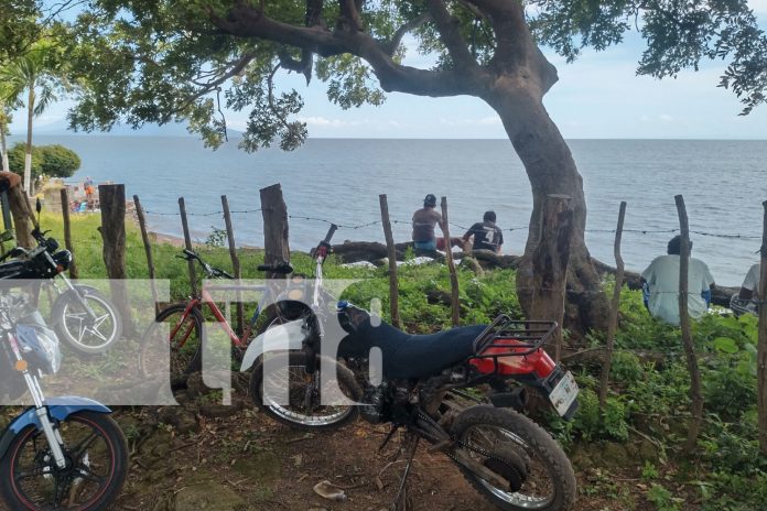 Foto: Autoridades brindan acompañamiento en Ometepe /TN8