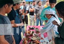 Foto: Tecnológico Ernest Thalman celebra sus 40 Años de Éxito /TN8