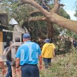 Foto: Guanacaste cae sobre iglesia evangélica en Carazo/Cortesía