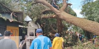 Foto: Guanacaste cae sobre iglesia evangélica en Carazo/Cortesía