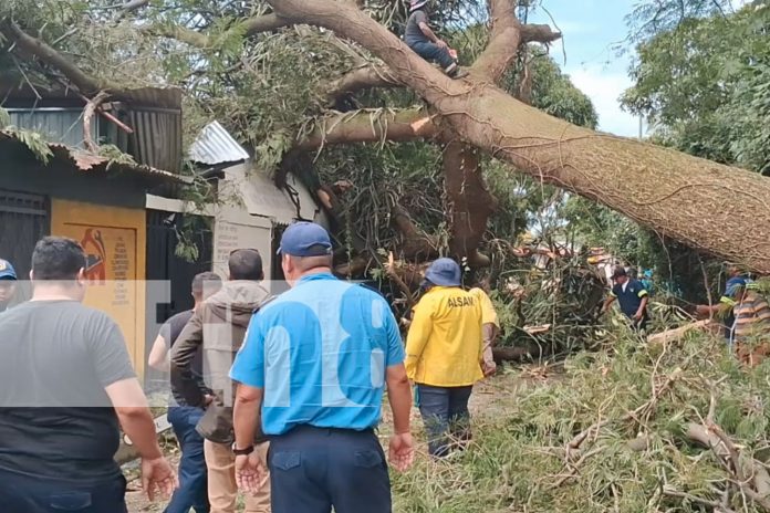 Foto: Guanacaste cae sobre iglesia evangélica en Carazo/Cortesía